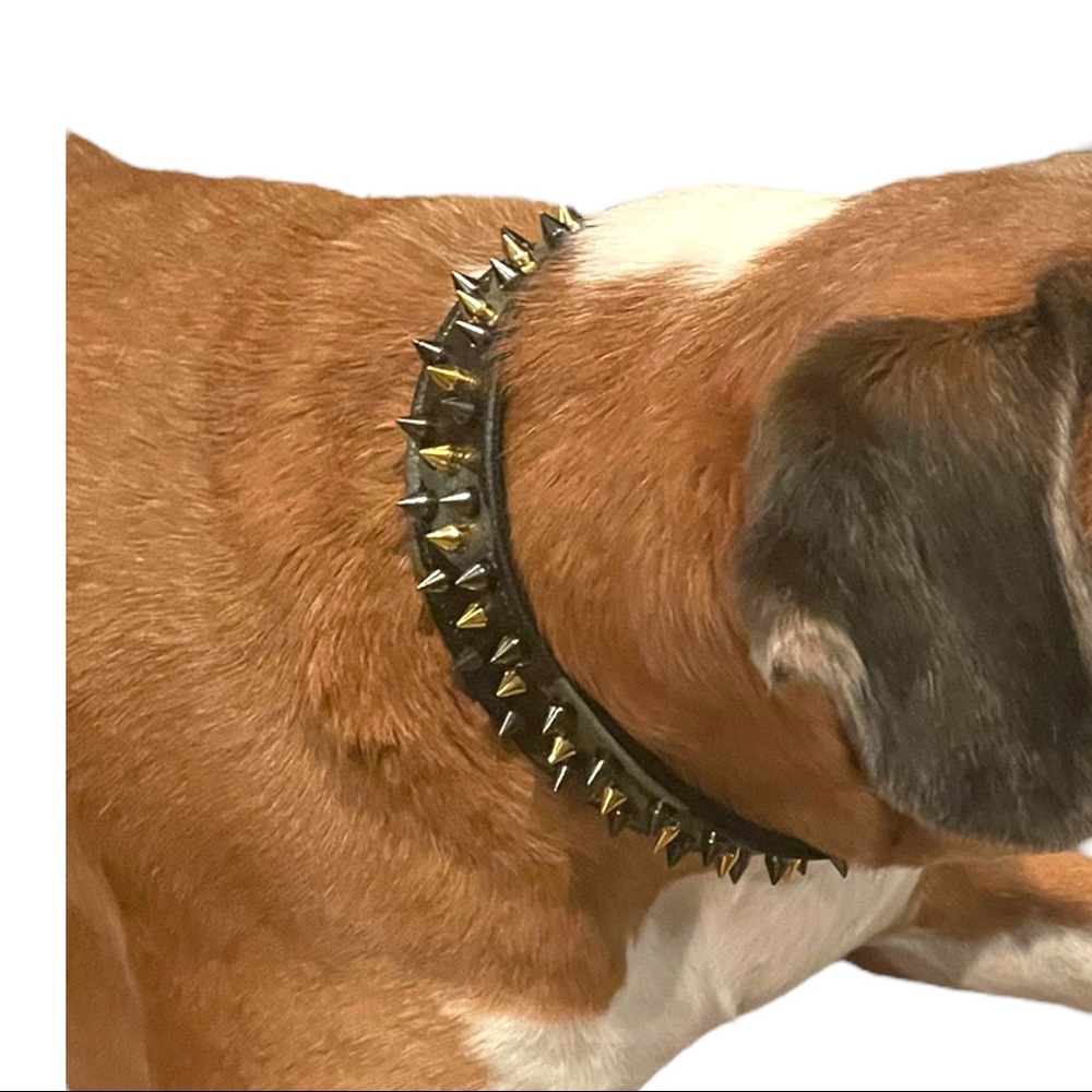 In Command collar - Picture 3 of 7